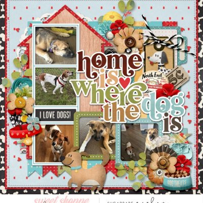 Home is Where Our Dogs Are