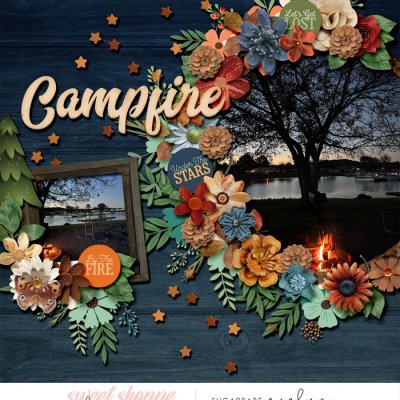 Campfire
