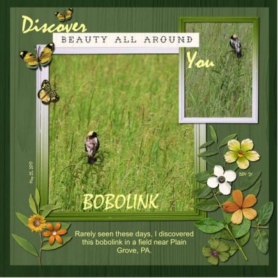 Discovery -  3 greens