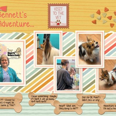 Bennett's-Adventure.jpg