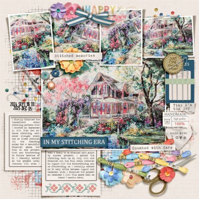 In My Stitching Era