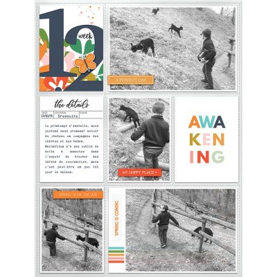 Week 12 Awakening