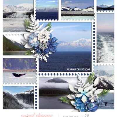 Alaskan Cruise Adventure