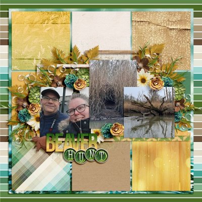 Beaver Hunt