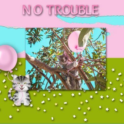 NO TROUBLE