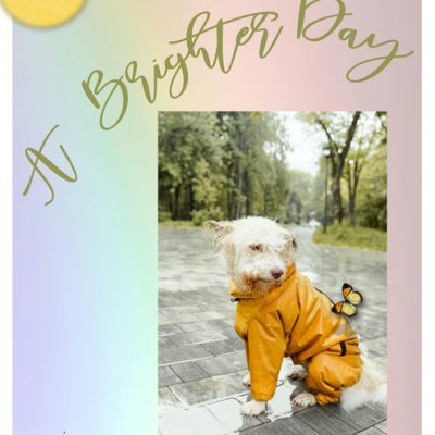 A Brighter Day