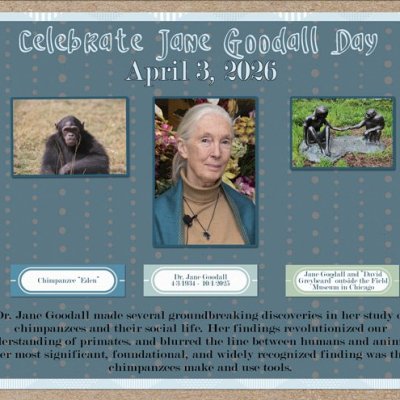 Celebrate Jane Goodall Day