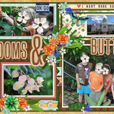 Blooms and Butterflies