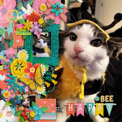 bee happy