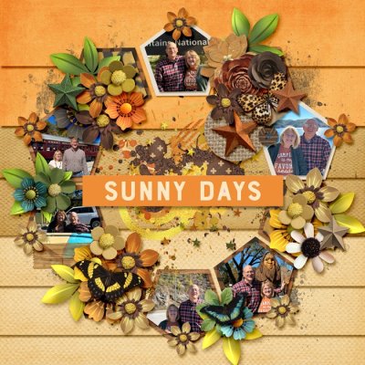 Sunny Days
