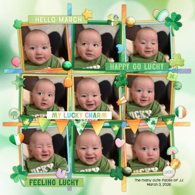2026-3-3-Luckybaby-flergs-dsi-em-march.jpg