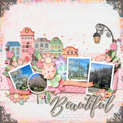 Beautiful Cherry Blossom Time