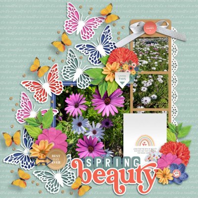 Spring Beauty