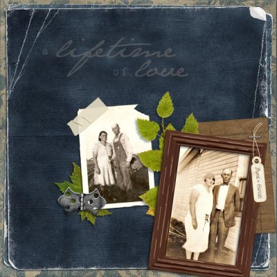 A Lifetime of Love (1)