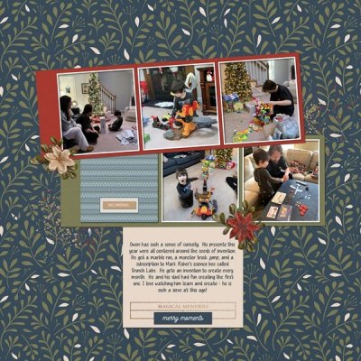 Seeds and photobooth style photo strips.jpg