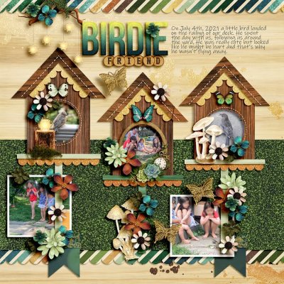 Birdie friend