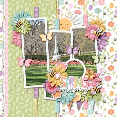 Spring Has Sprung!