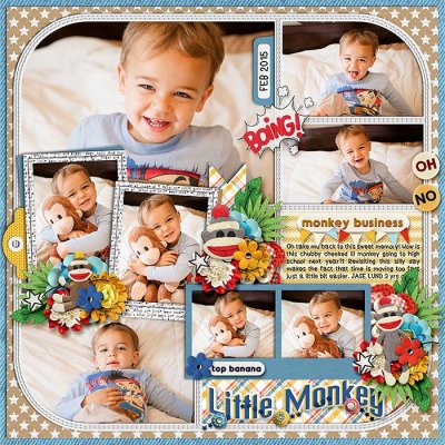 JL-SillyMonkey.jpg