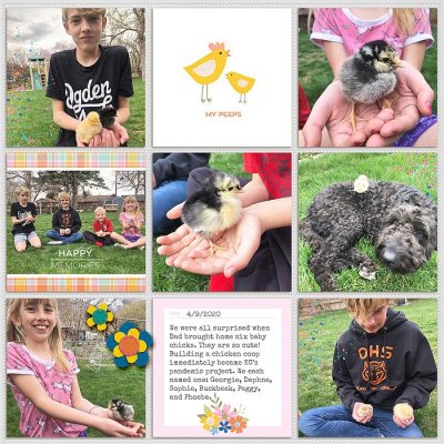 chicks