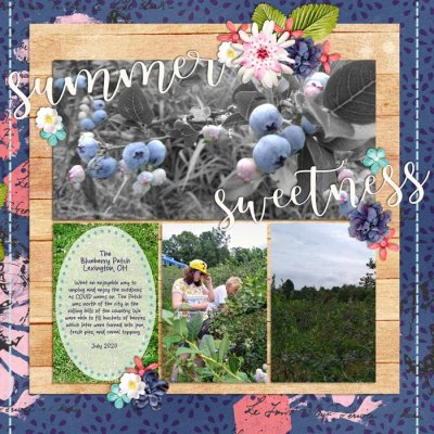 The Blueberry Patch