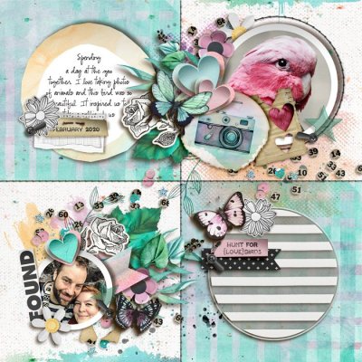 Hunt For {Love}Birds