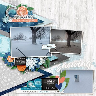 2025 01 SnowDay
