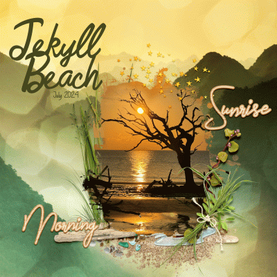 Jekyll Beach