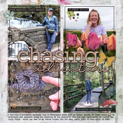 chasing-adventure