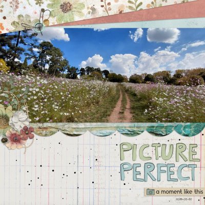 2026-03-30_PicturePerfect