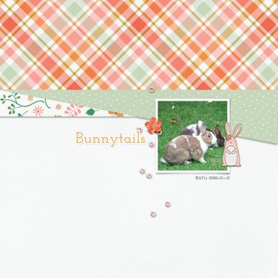 2022-01-13_Bunnytails