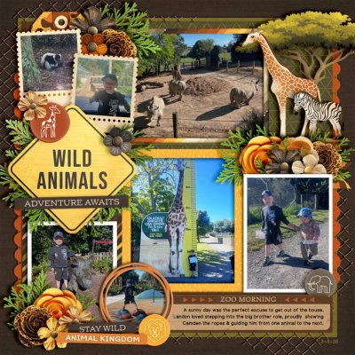 Wild animals