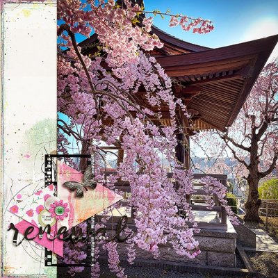 Sakura 2026