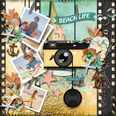 Beach Life