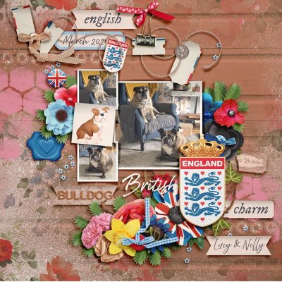 2021_3_British Bulldog-babe.jpg