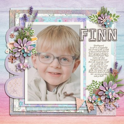 Finn