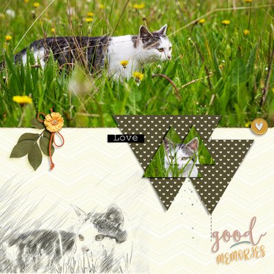 Soco_LoveTrianglesNo8_02.jpg