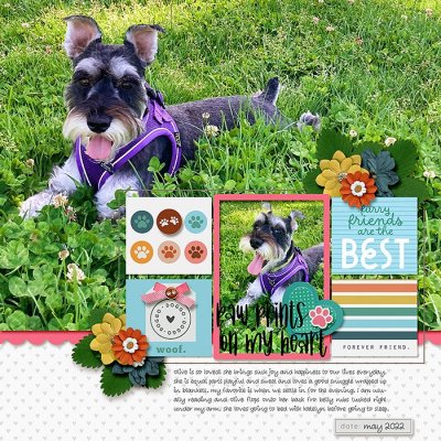 2022_05-OlivePawPrints.jpg