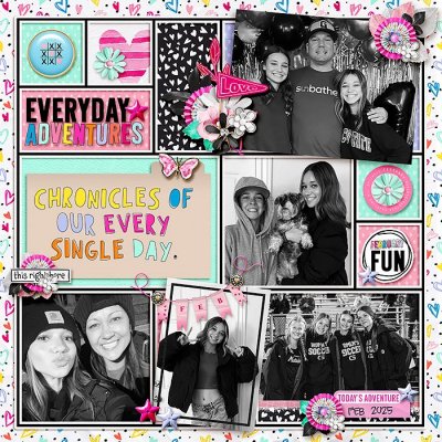 2025_02-FEBeverysingleday.jpg