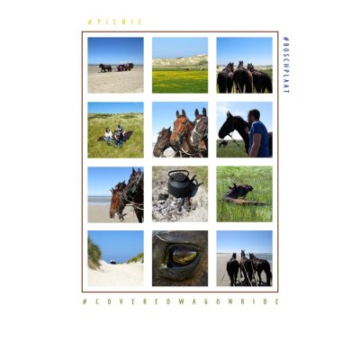 Dutch Wadden Islands: Terschelling #07 (2016)