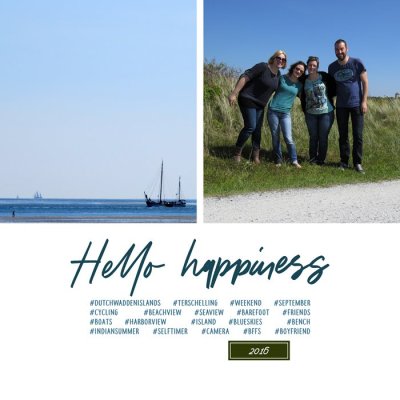 Dutch Wadden Islands: Terschelling #10 (2016)