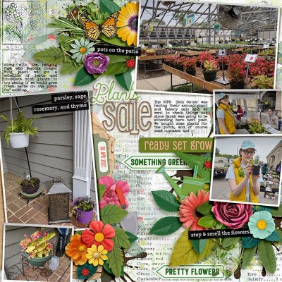 Plants Sale