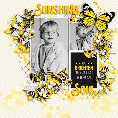 Sunshine Soul
