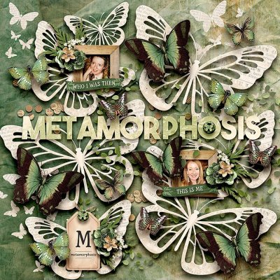 Metamorphosis