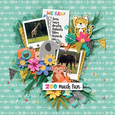 Zoo Much Fun