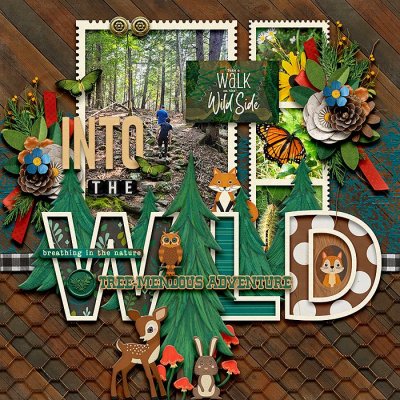 Into the Wild