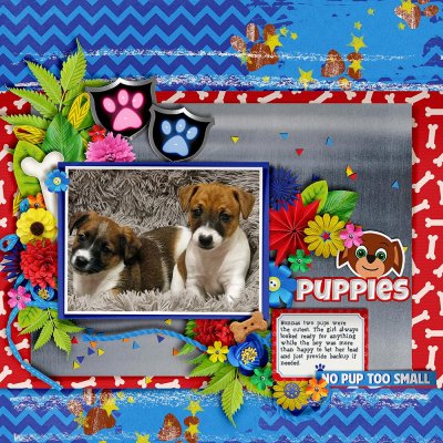 Puppies
