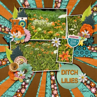 Ditch Lilies
