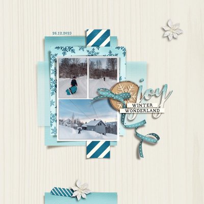 Sledding
