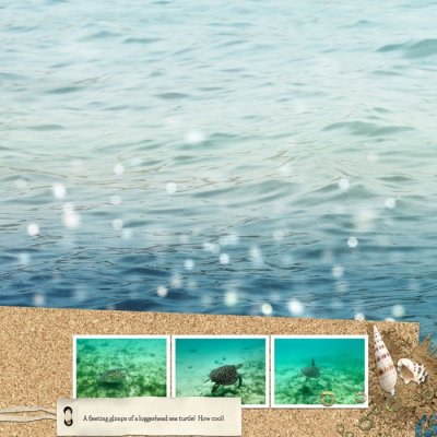 9-Fleeting---Sand-and-Seashells.jpg
