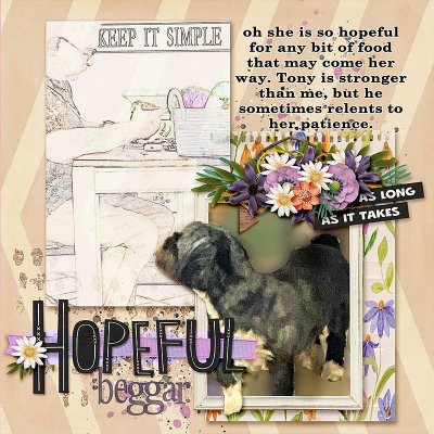 00-hopeful-begger.jpg